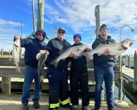 315740031 585955700002276 n