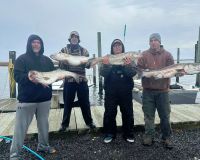 315897455 583180096946503 n